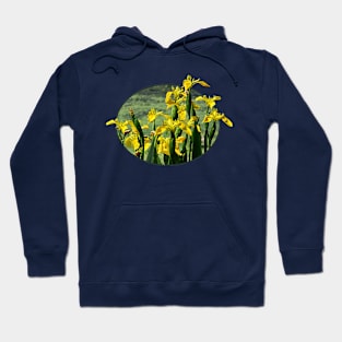 Irises - Yellow Irises Hoodie